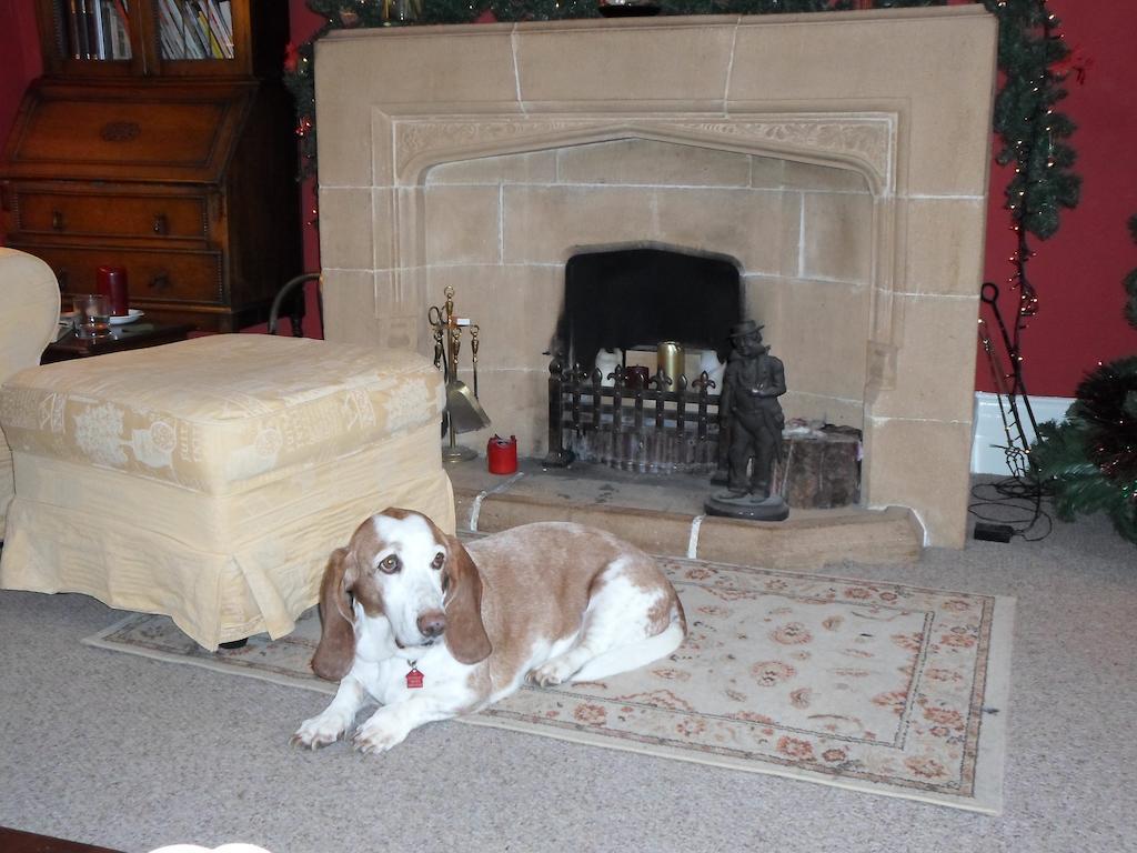 The Old Cider House Bed and Breakfast Nether Stowey Exteriör bild